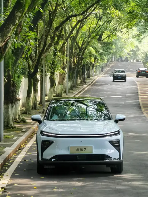 增程版博越REV亮相，吉利准备打造半价版model Y？